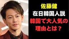 佐藤健