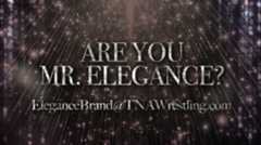 Are You Mr. Elegance?