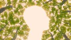 Illustration: Outline of a person amid trees