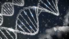 Photo by Sangharsh Lohakare on Unsplash