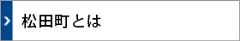 松田町とは