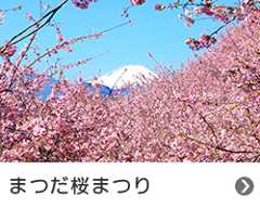まつだ桜まつり