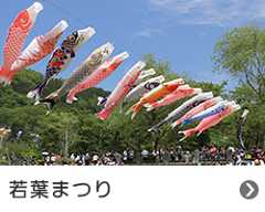 若葉まつり