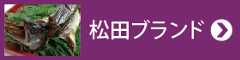 松田ブランド