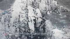 Wang Jiqian. Chinese paintings