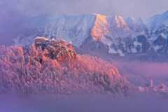 Bled Castle covered in snow in the winter