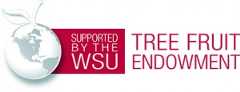 Suppported by the WSU Tree Fruit Endowment