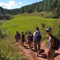 kalaw trekking pindaya treks