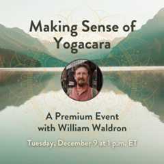 Making Sense of Yogacara: A Premium Event with William Waldron
