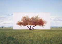 seeking refuge burnout