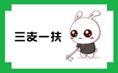 陕西省三支一扶考试