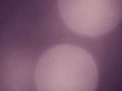 Bi Science Fridays