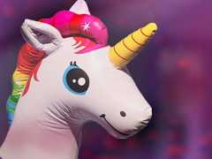 The Unicorn Scale