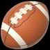 🏈
