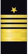 Sleeve insignia