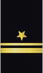 Sleeve insignia