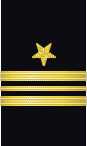 Sleeve insignia