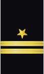 Sleeve insignia