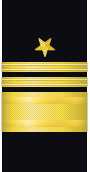 Sleeve insignia