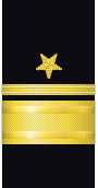 Sleeve insignia