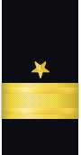 Sleeve insignia