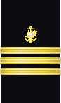 sleeve insignia