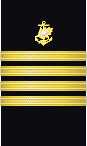 sleeve insignia