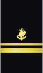 sleeve insignia