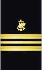 sleeve insignia