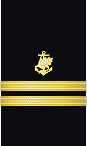 sleeve insignia