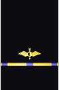 Sleeve insignia