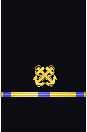Sleeve insignia