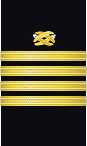 sleeve insignia