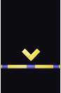 Sleeve insignia