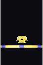 Sleeve insignia