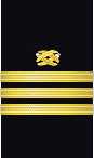 sleeve insignia