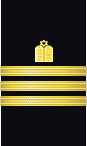 sleeve insignia