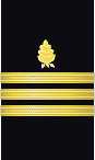 sleeve insignia