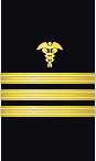 sleeve insignia