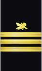 Sleeve insignia