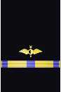 Sleeve insignia