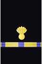 Sleeve insignia