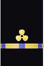 Sleeve insignia