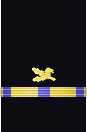 Sleeve insignia