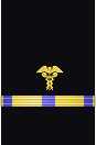 Sleeve insignia
