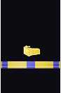 Sleeve insignia