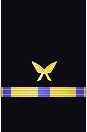 Sleeve insignia