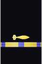 Sleeve insignia
