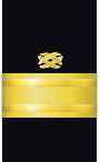 sleeve insignia