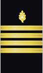 Sleeve insignia